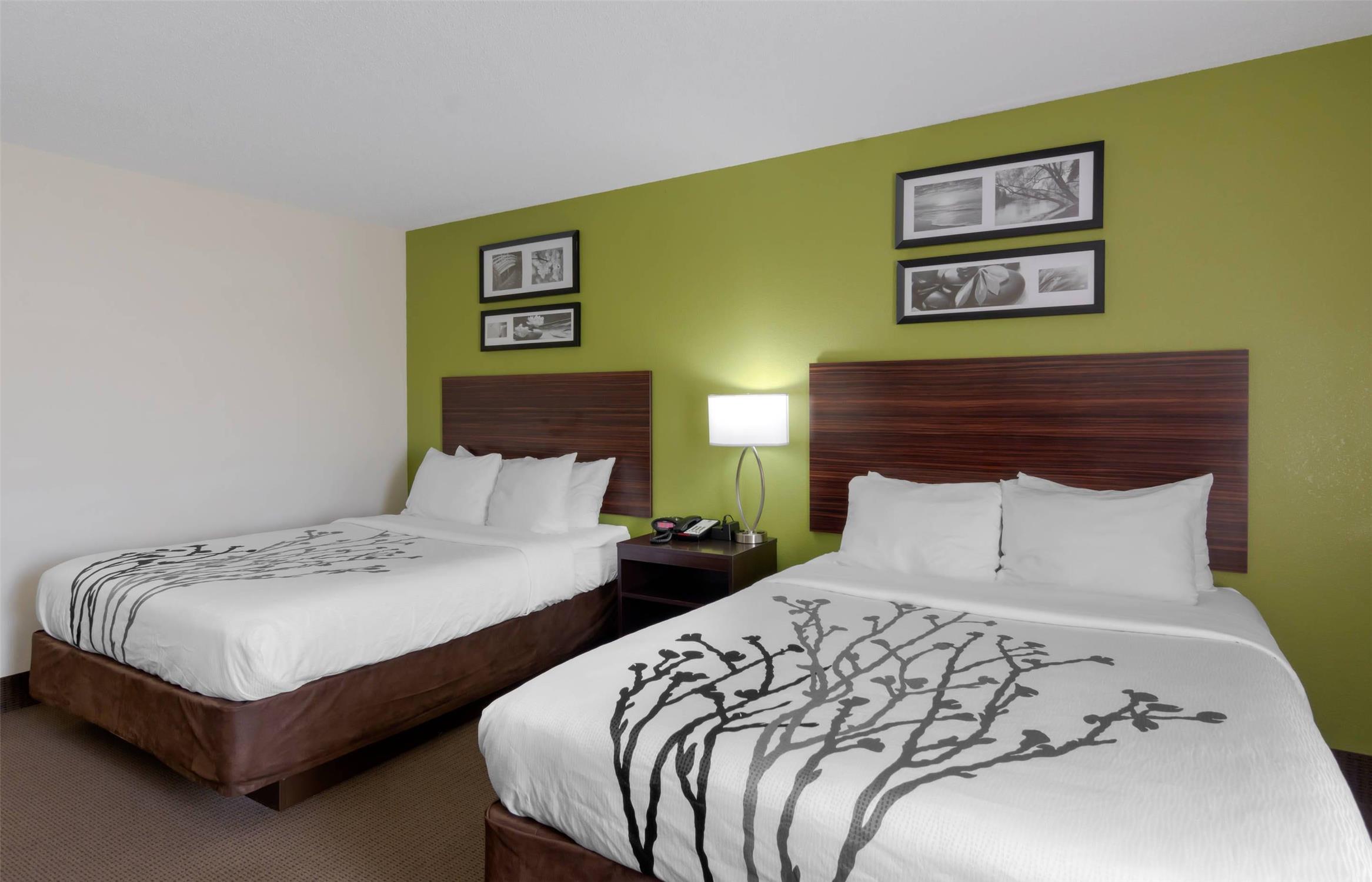 Efficiency, 2 Queen Beds