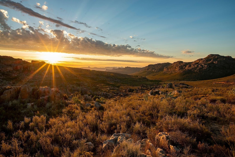 Simbavati Cederberg Ridge 45/50