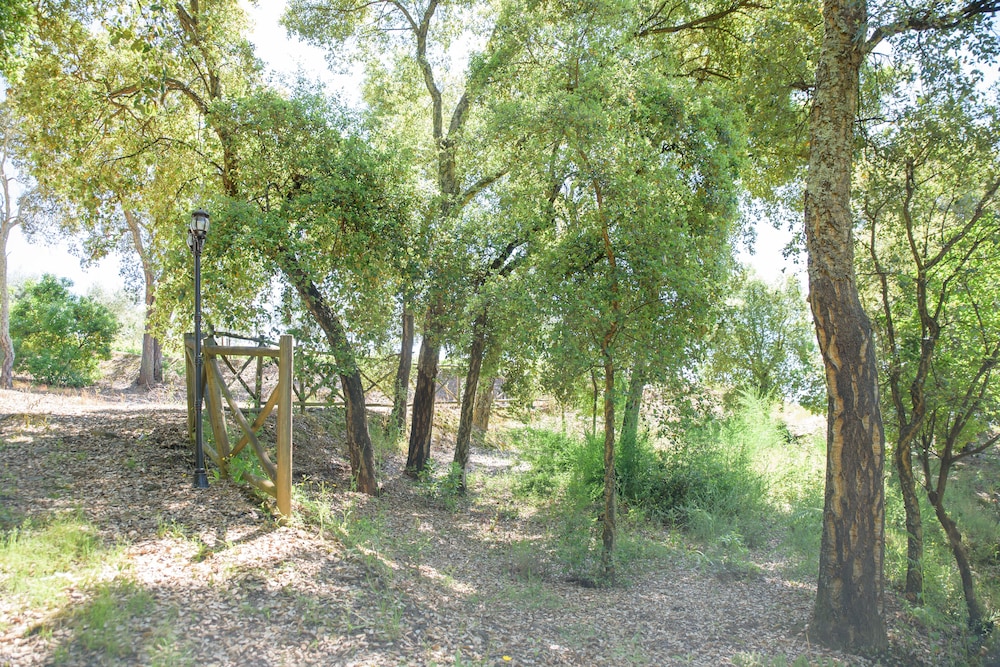 Quinta do Bosque 42/50