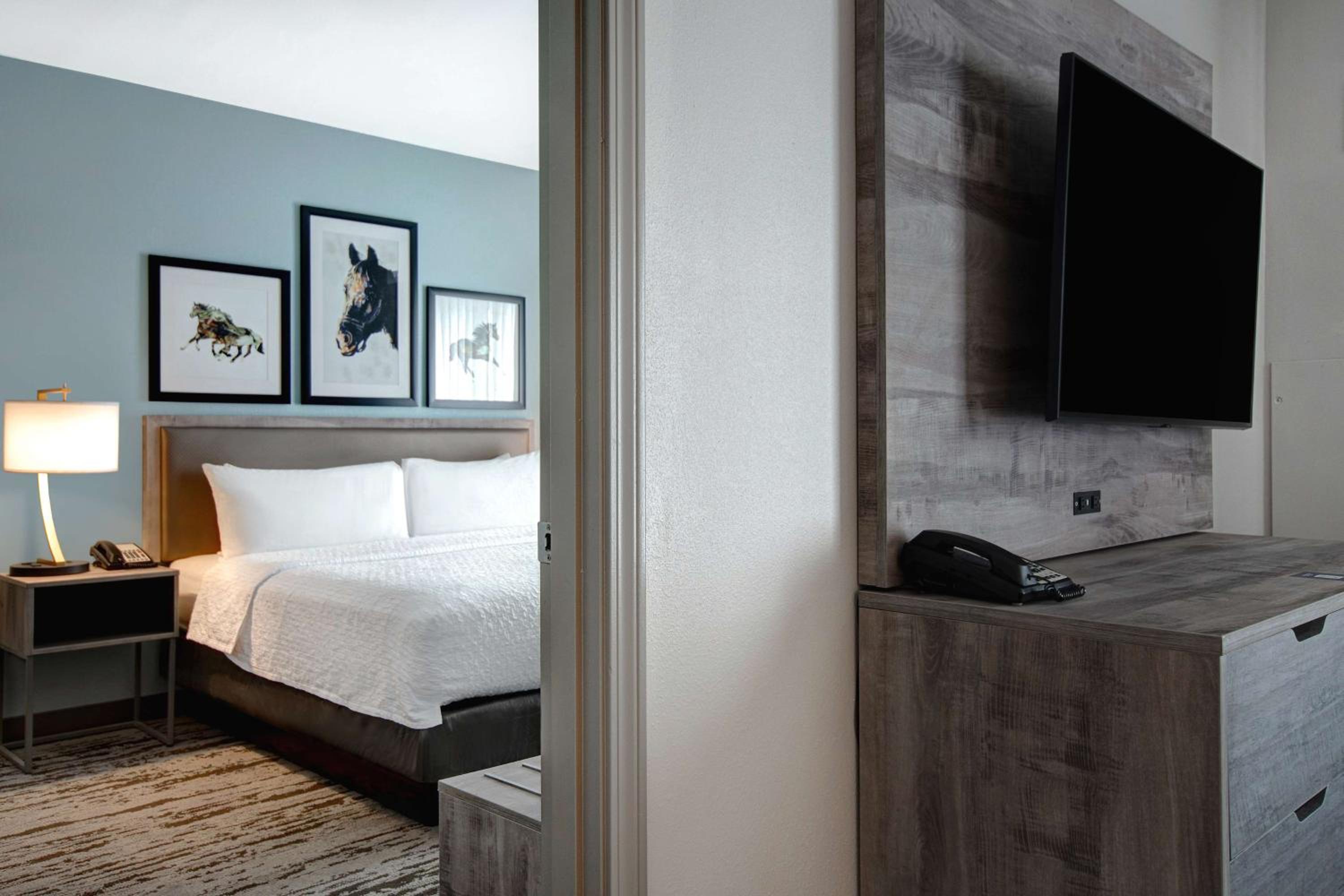 جناح بسرير كينج بغرفة نوم واحدة مع أريكة، Homewood Suites By Hilton Lexington Hamburg 3/8