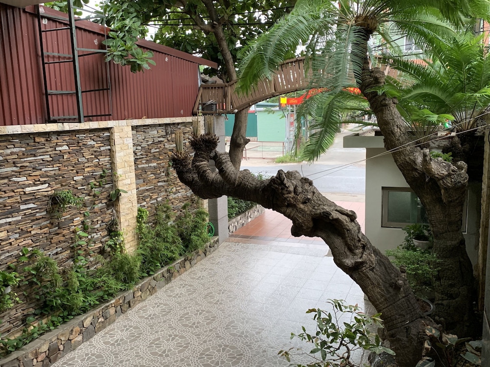 Chio Hotel And Apartment 54/60