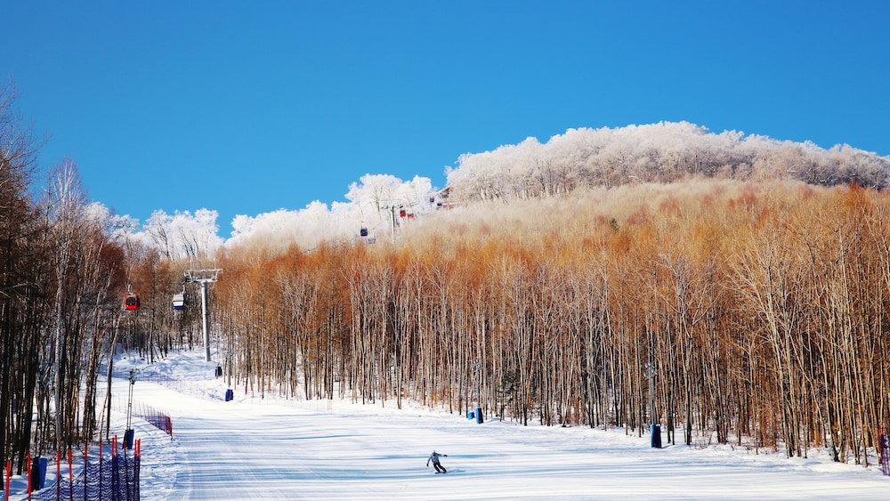 The Westin Changbaishan Resort 3/67