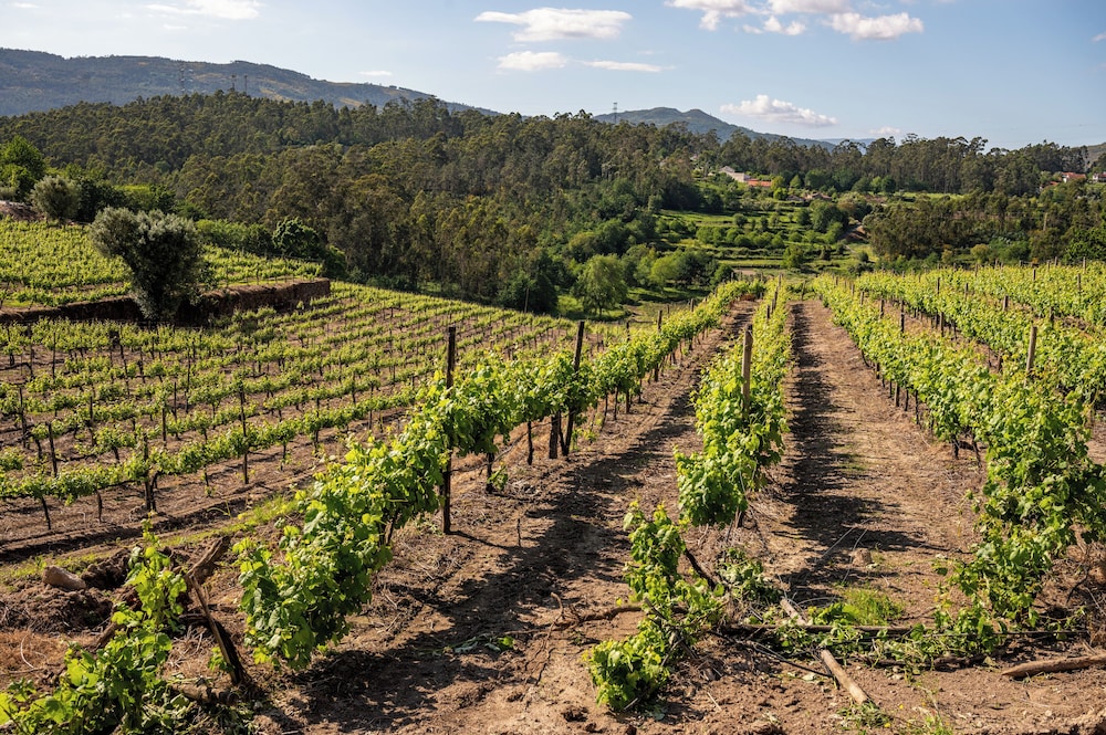 Vila Gale Collection Ponte de Lima Vineyards 63/71