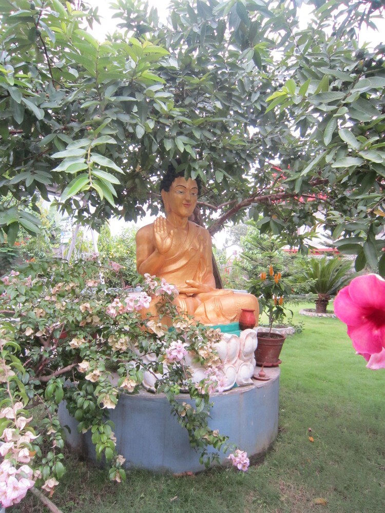 New Annapurna Guest House 14/54