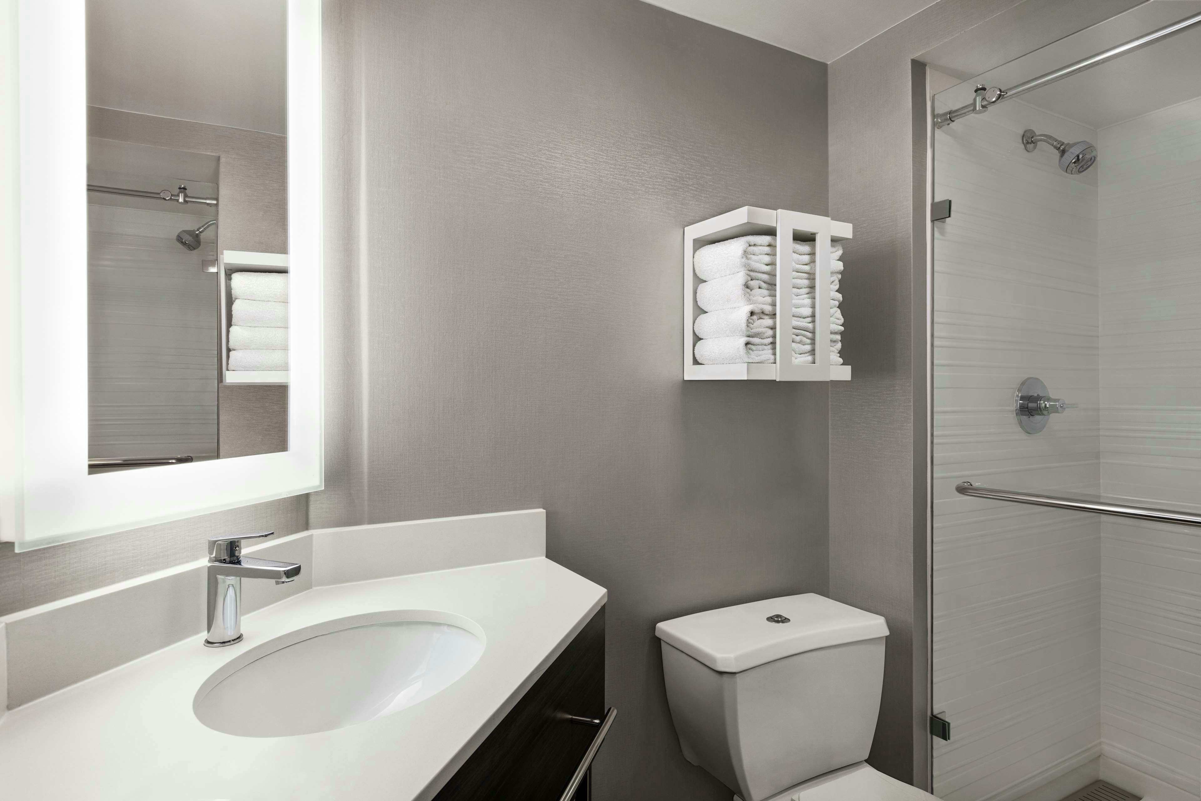 Hampton Inn Chicago-O'Hare International Airport 75/79