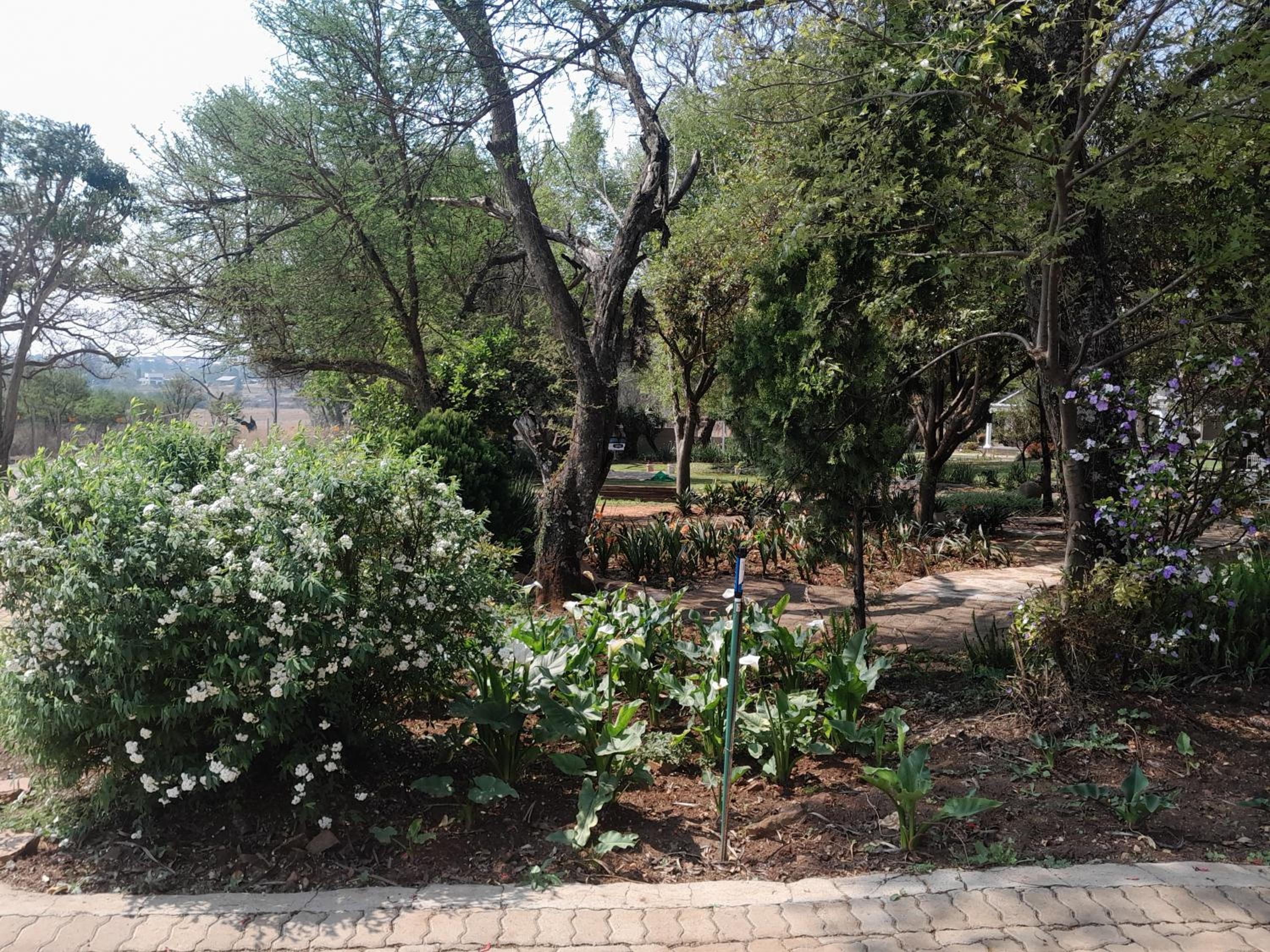 Longtom Farm Guest House 9/23