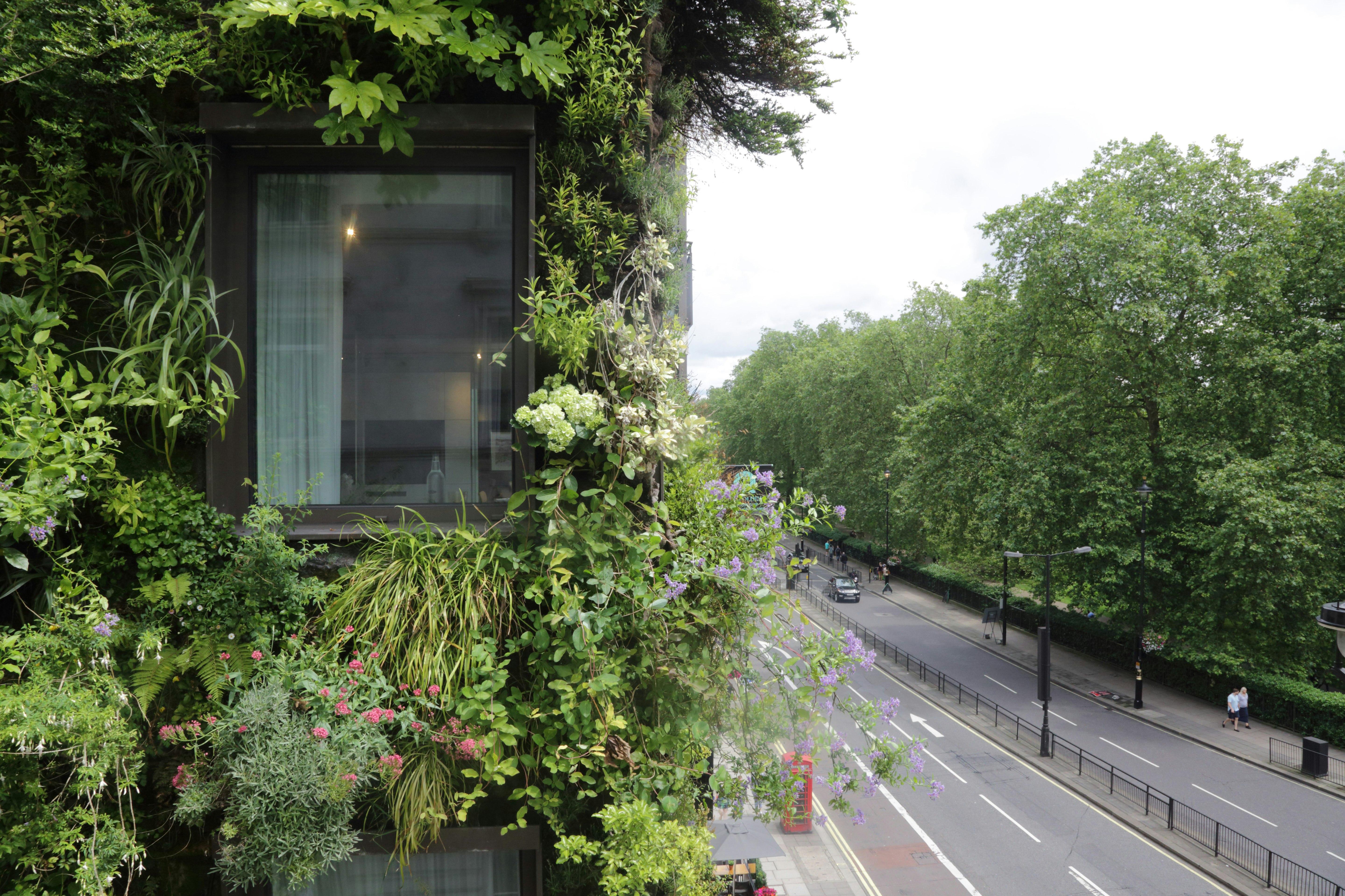 The Athenaeum Hotel & Residences 3/66
