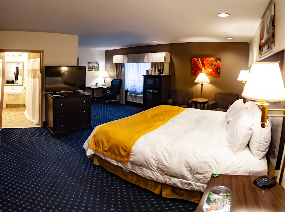 Standard, Single, King Bed, Accessible