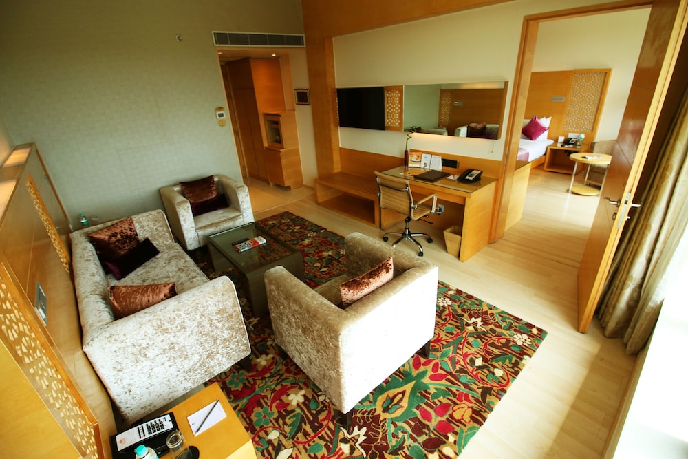Hotel Sayaji Raipur 25/73