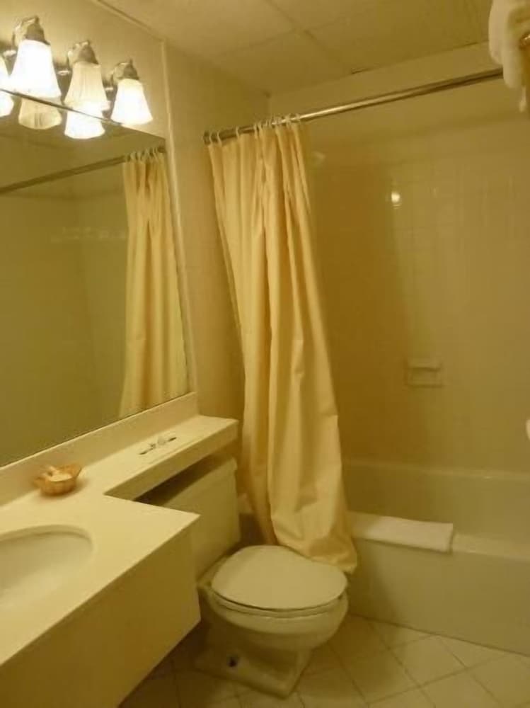 Amsterdam Hotel 47/47