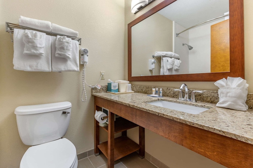 Comfort Inn & Suites Clemson - University Area 11/49
