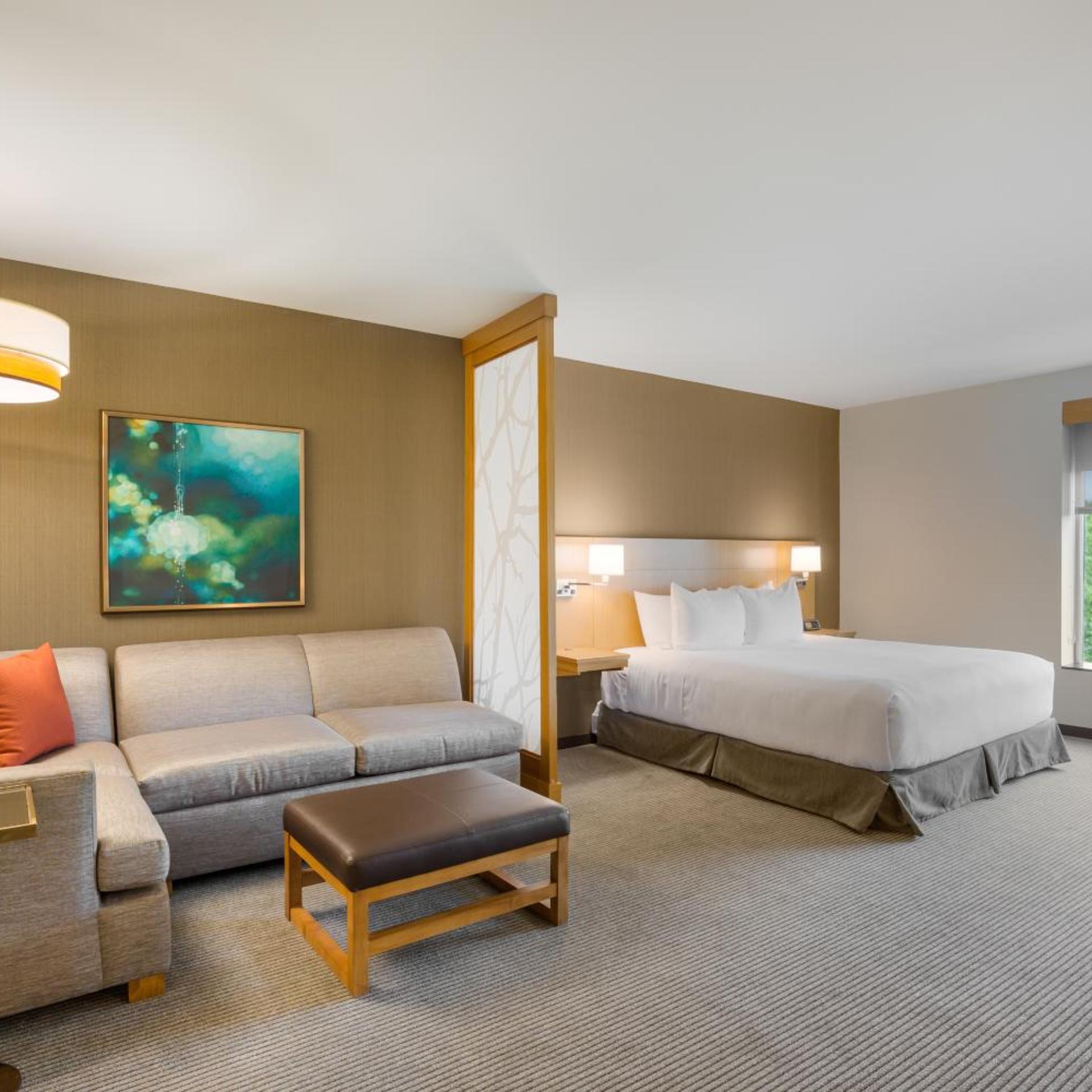 Room, King Bed, Accessible