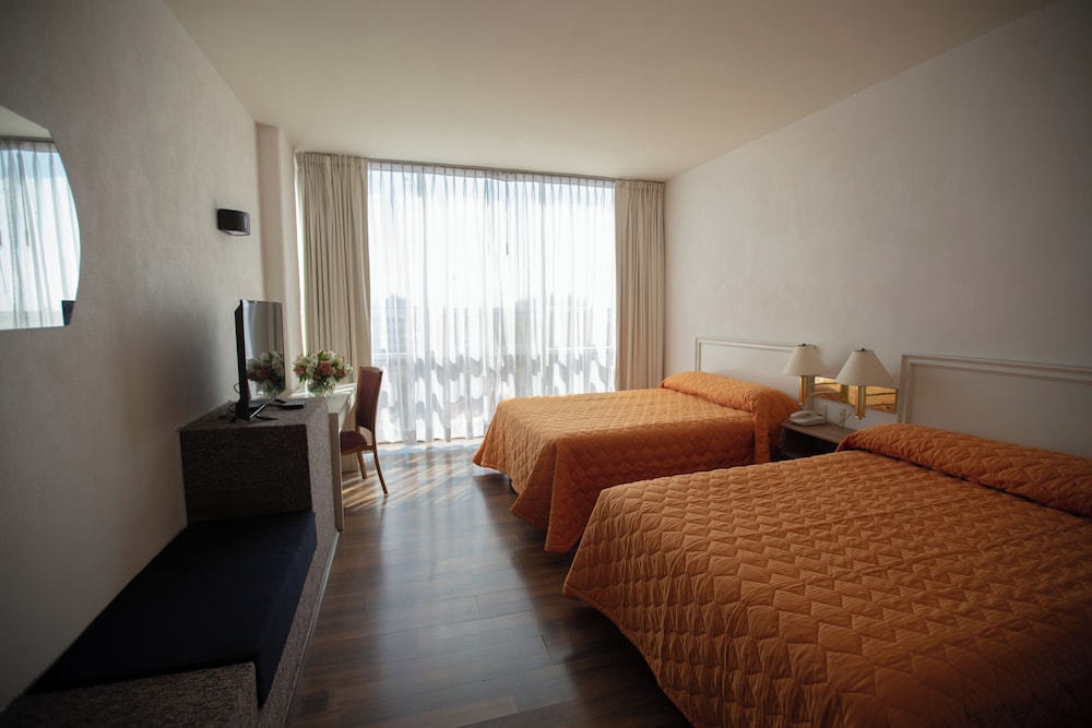 Hotel San Francisco Toluca 15/42
