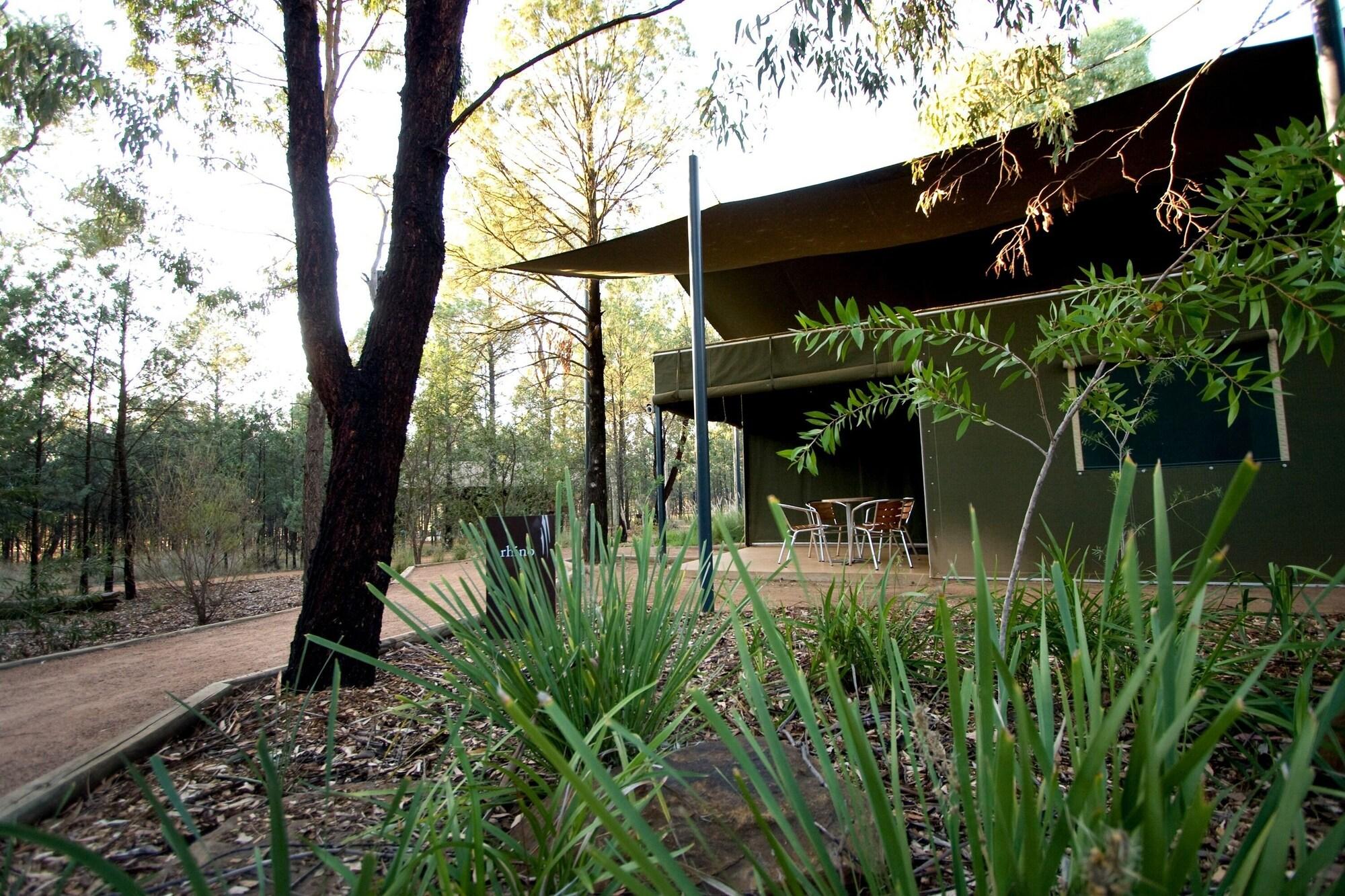 Zoofari Lodge 10/13
