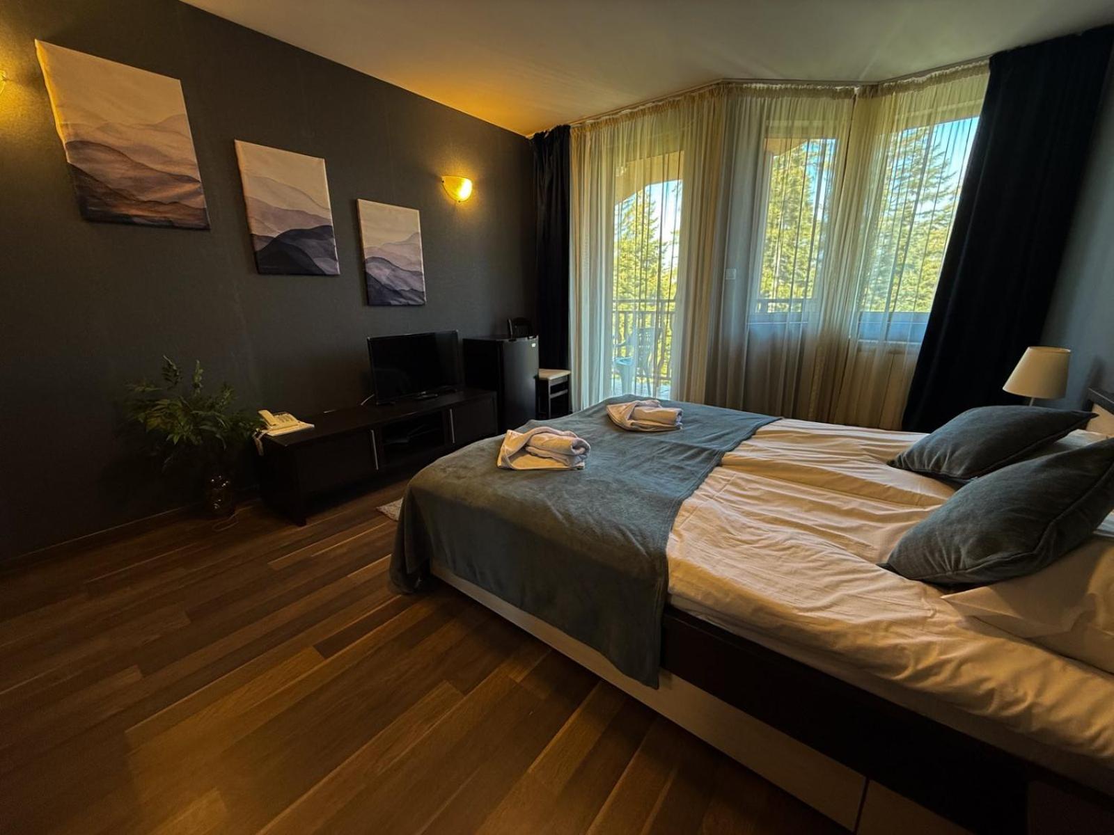 Hotel Iceberg Borovets 9/31