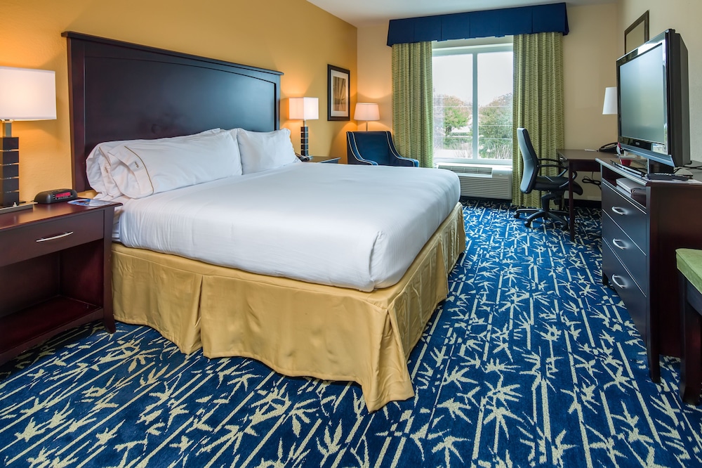 Holiday Inn Express Hotel Suites Orlando Apopka 13/38