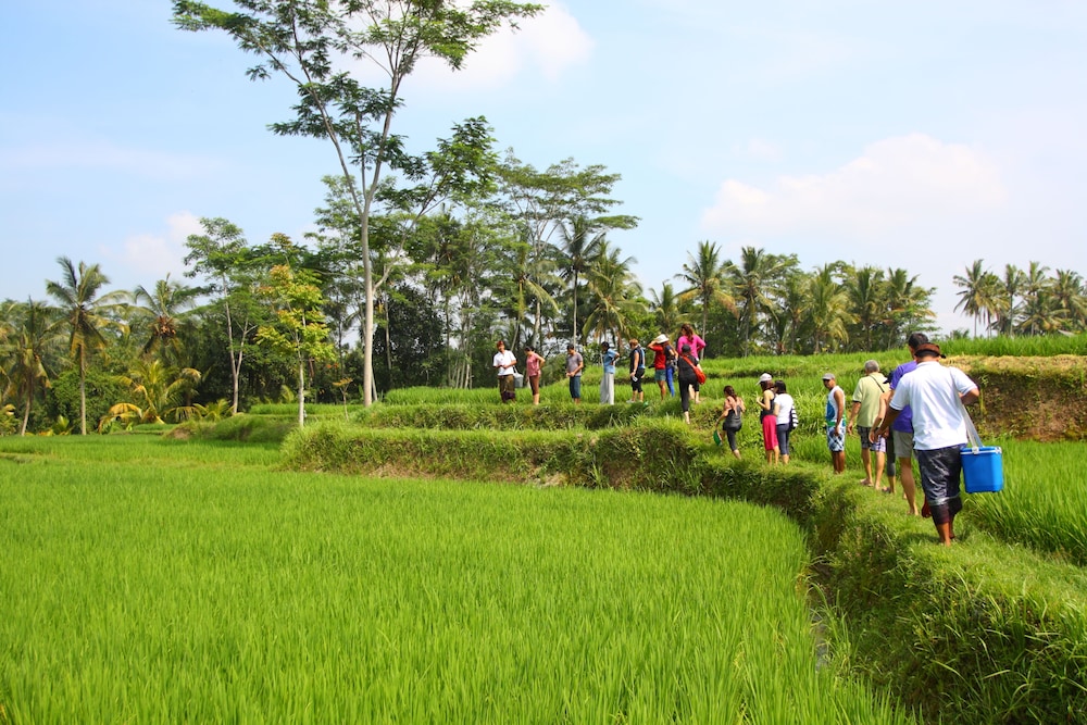 BeingSattvaa Luxury Ubud 36/50