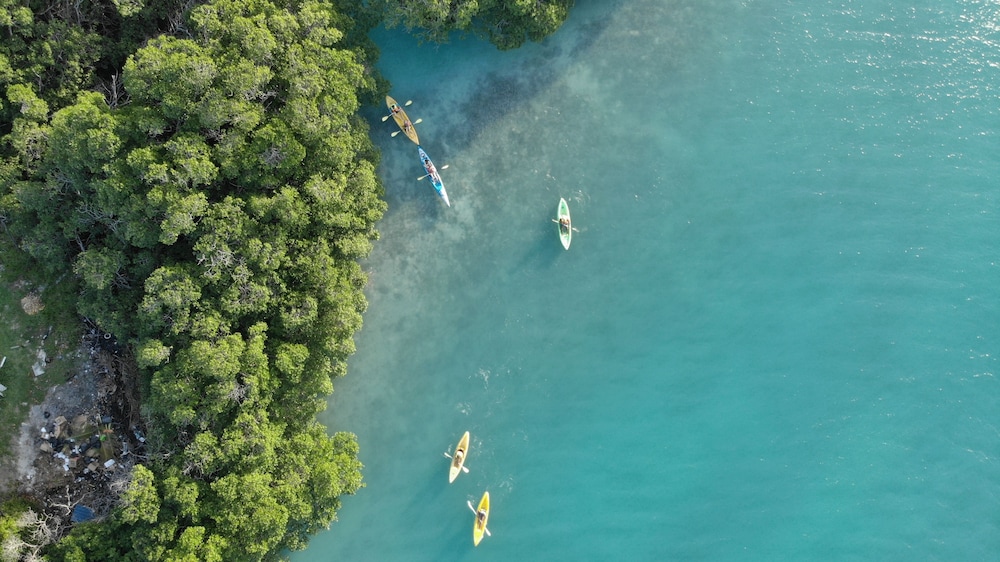 Shaka Caye 35/50