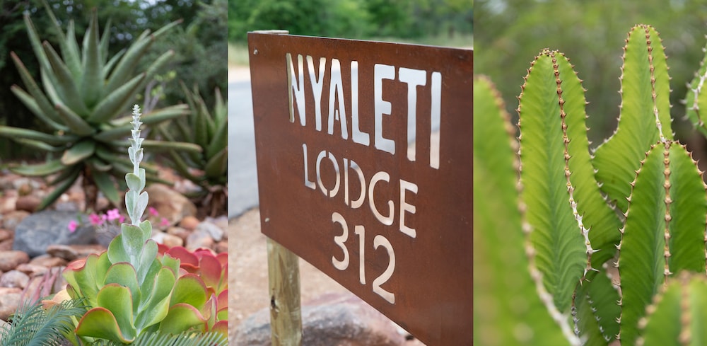 Nyaleti Lodge 3/47