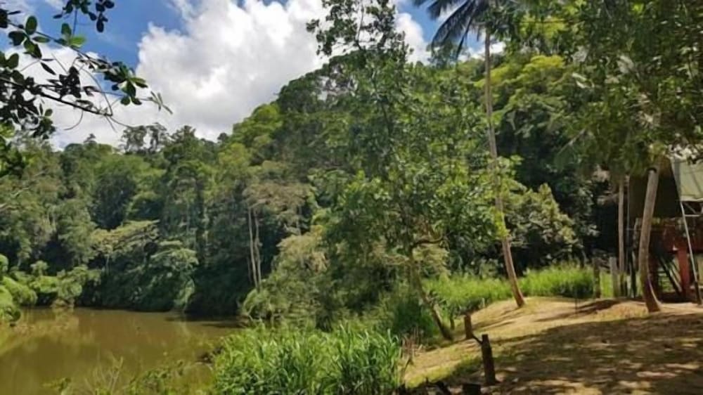 Sinharaja Rainforest View Villas 30/50