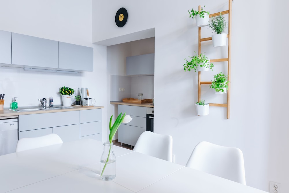 Chill Apartments 7/50