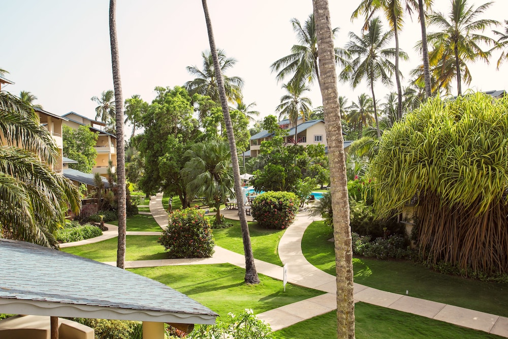 Alisei Beachfront Hotel And Spa 41/50