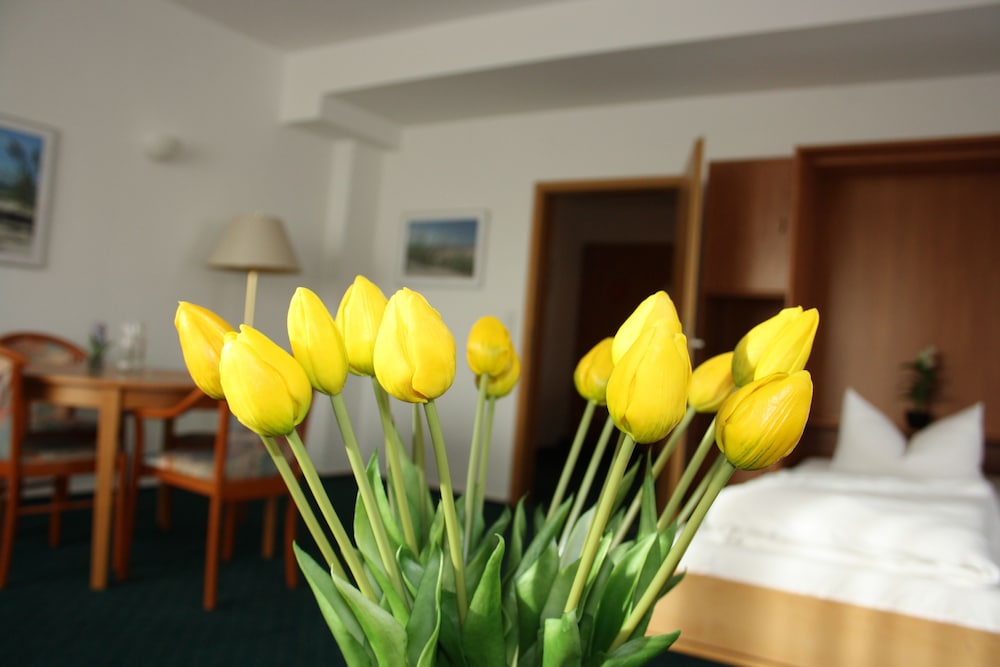 Hotel Am Markt photo2