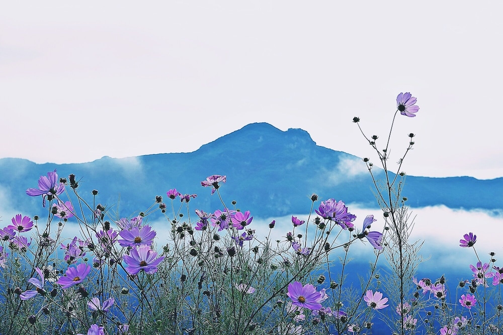 Pyeongchang Just Like Natural Home Pension 47/50