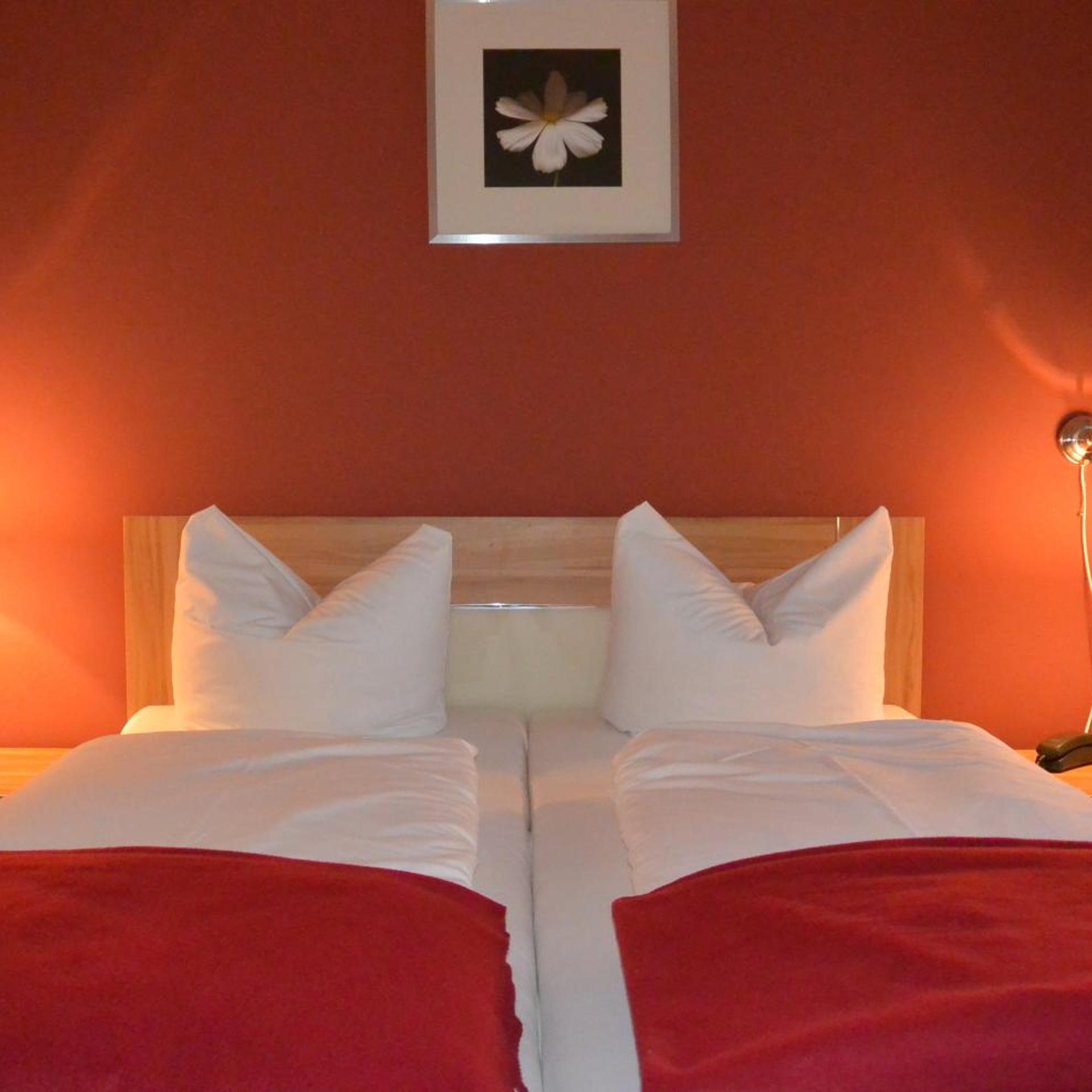 Hotel Schlee 10/50