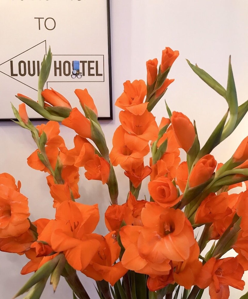 Louis Hostel photo3