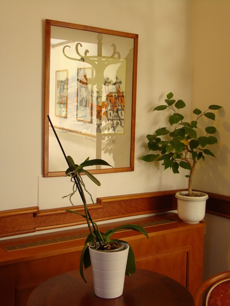 Boutique Hotel 16 31/50