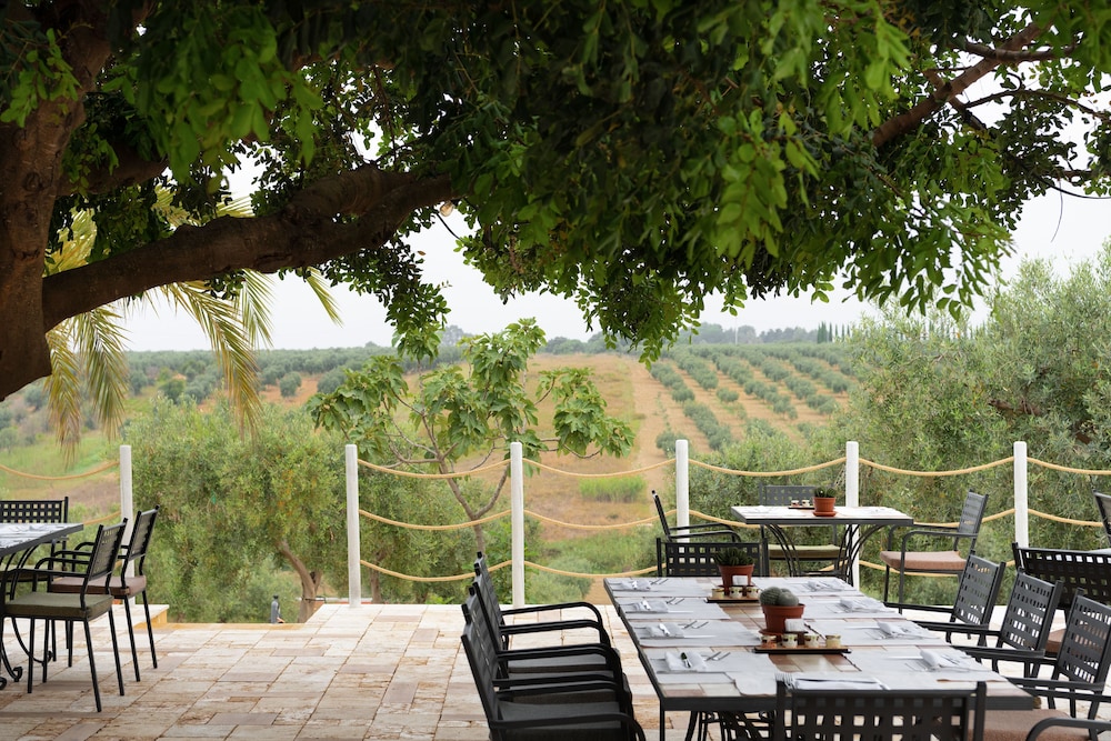 Momentum Wellness Bio Resort 60/75