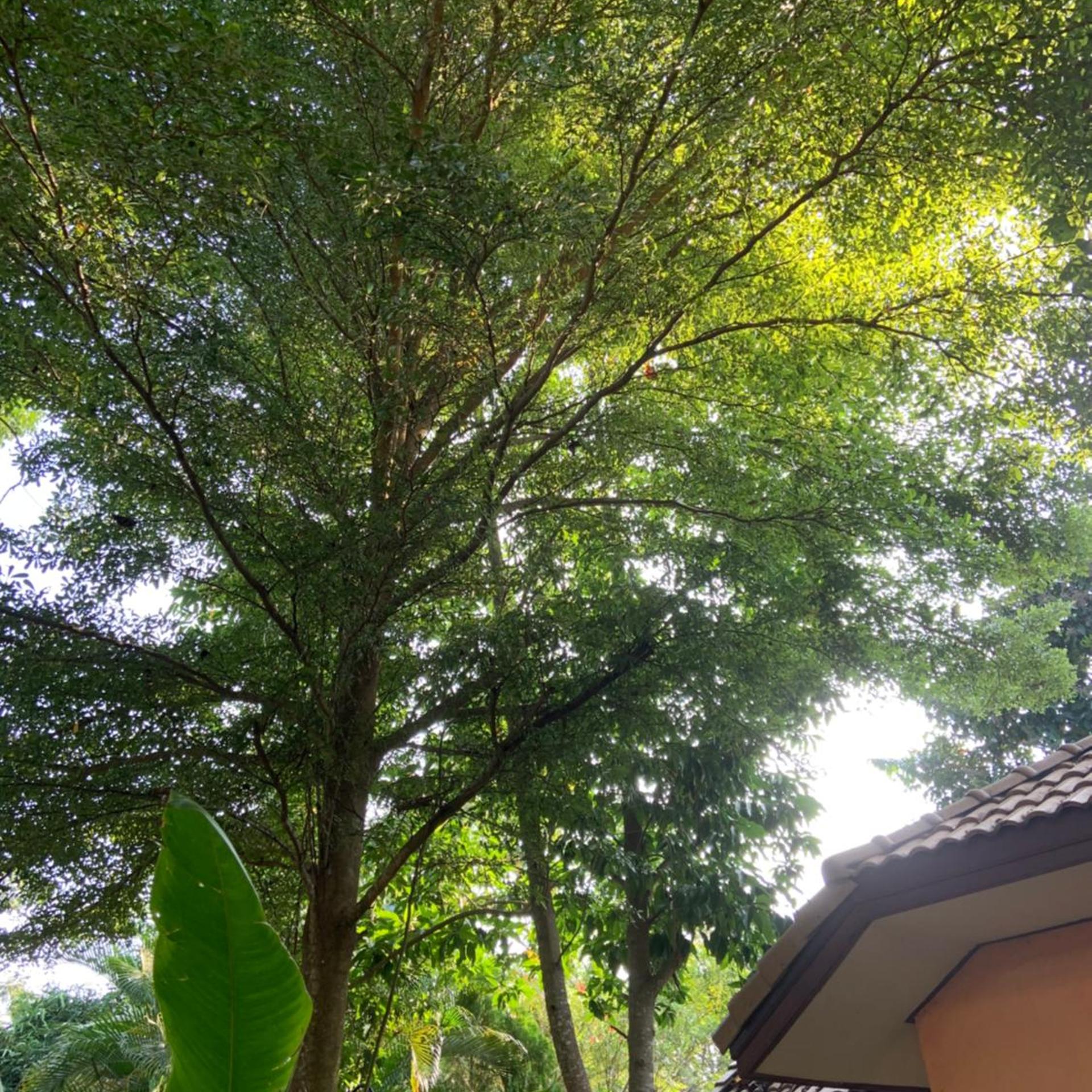 Khao Yai Cottage 76/81