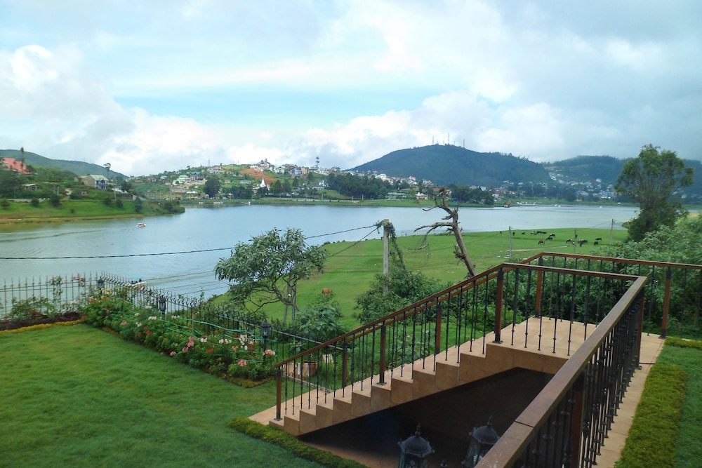 Tea Plant Nuwara Eliya 42/49