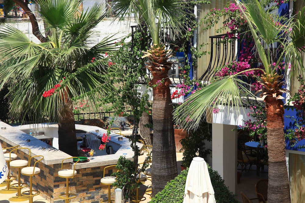Catamaran Hotel 46/55