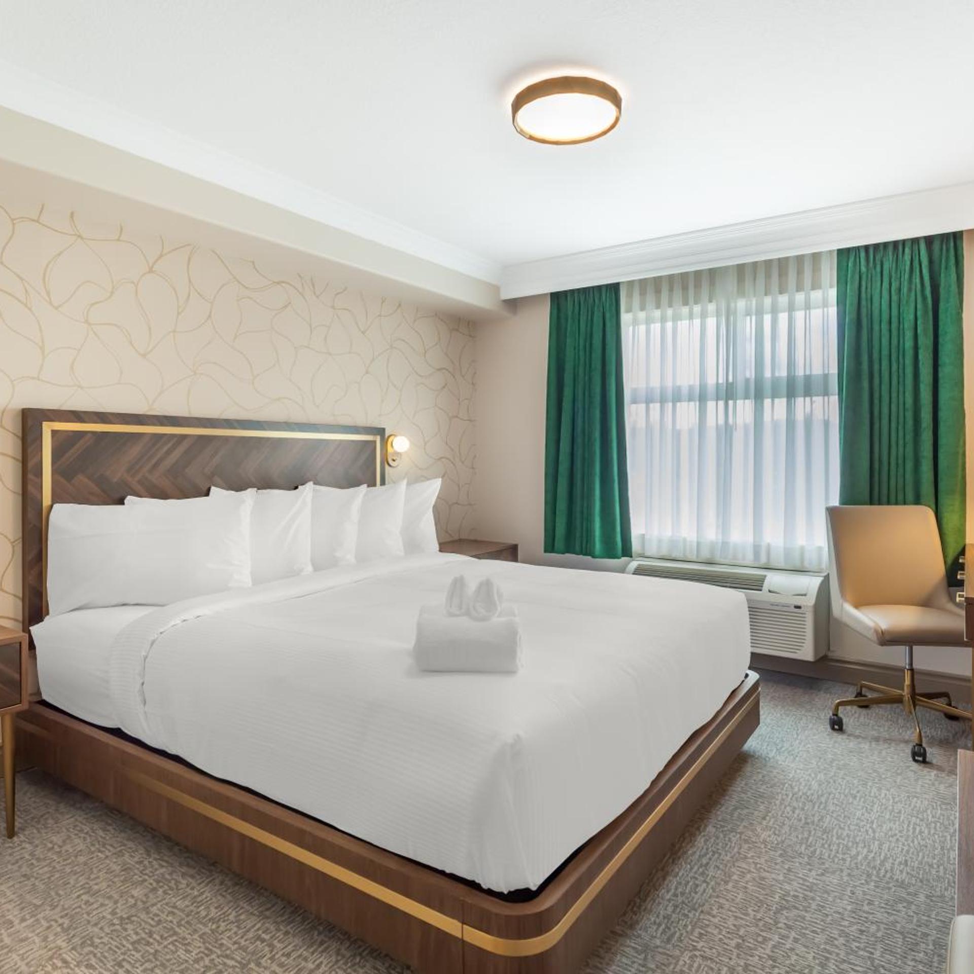 Efficiency, Suite, King Bed