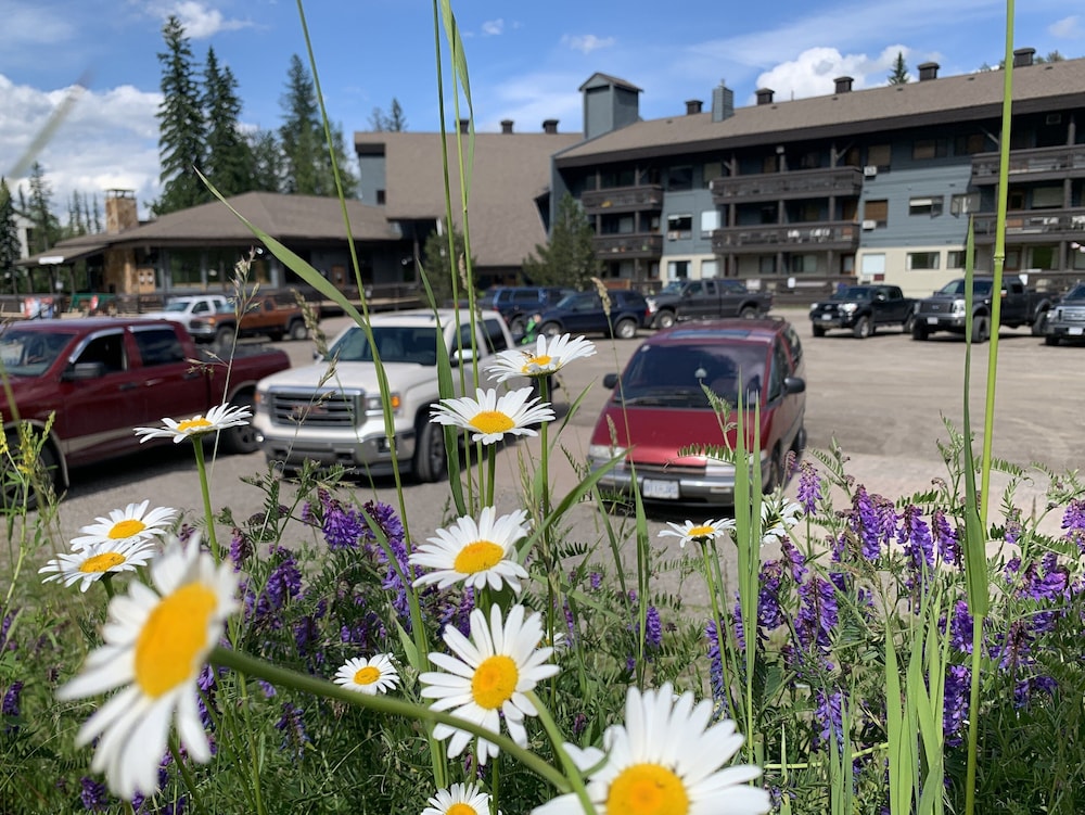 The Griz Inn 63/69
