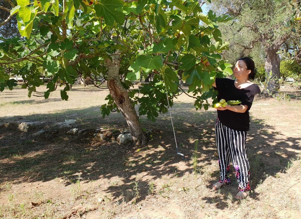 Agriturismo Villa Coluccia 45/50