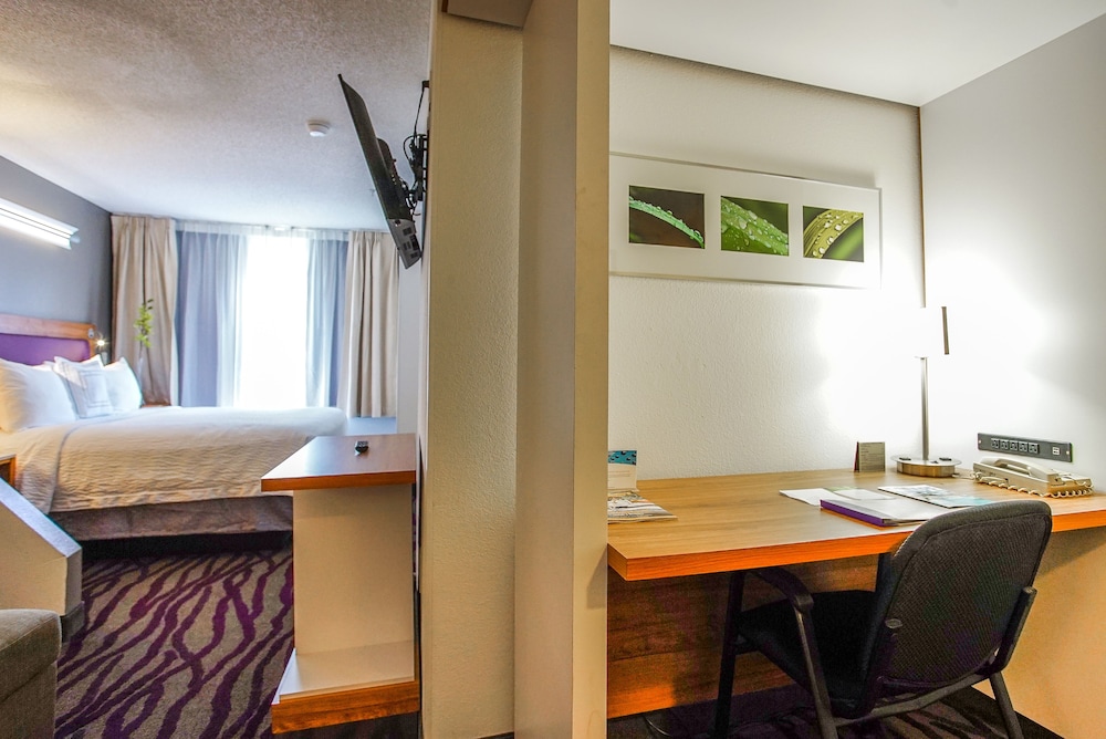 Country Inn & Suites by Radisson, Savannah Southside 29/67