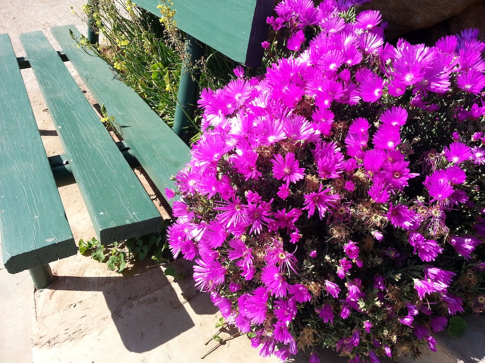 Die Agterplaas B&B 38/50