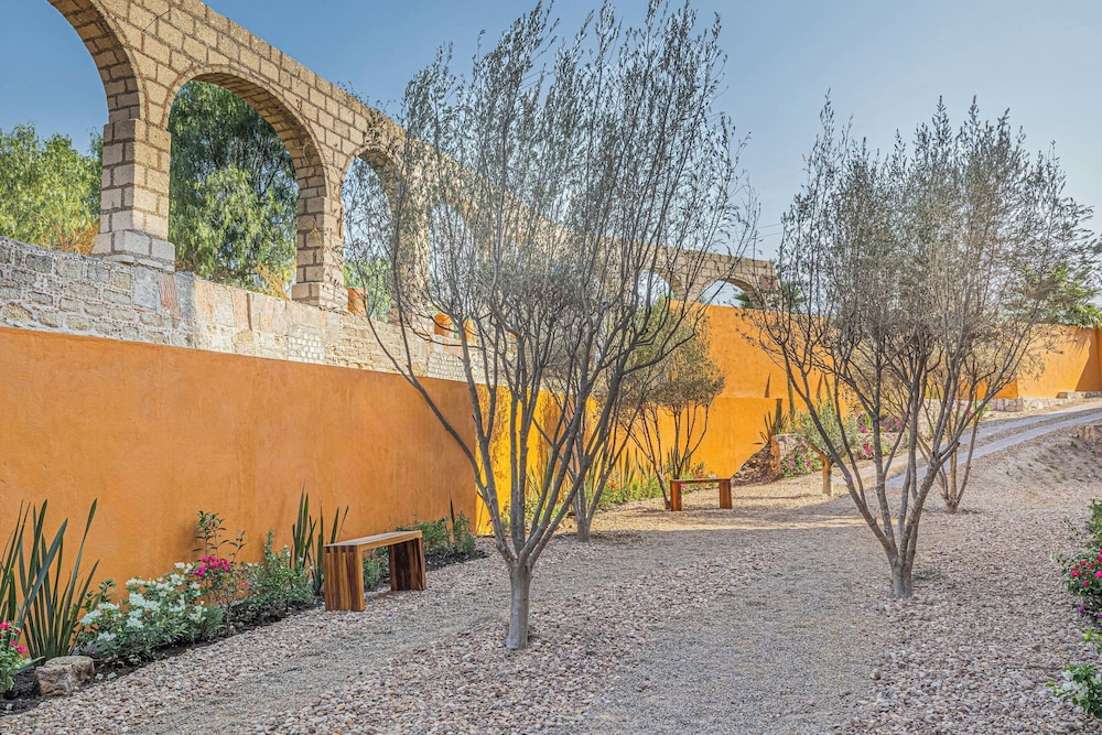 Clevia, San Miguel de Allende, Autograph Collection 44/50