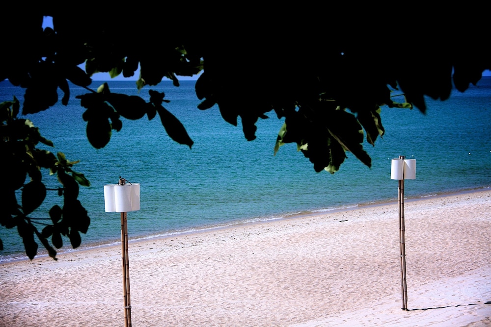 The Hive Hotel Samui 66/71