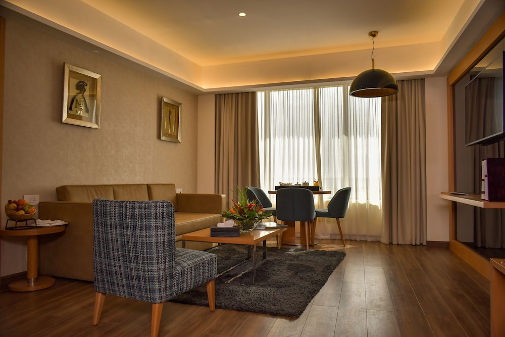 Bravia Hotel Niamey 26/50