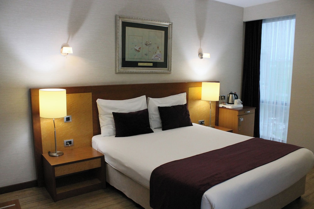 غرفة قياسية بسرير مزدوج، Byotell Hotel Istanbul 4/10