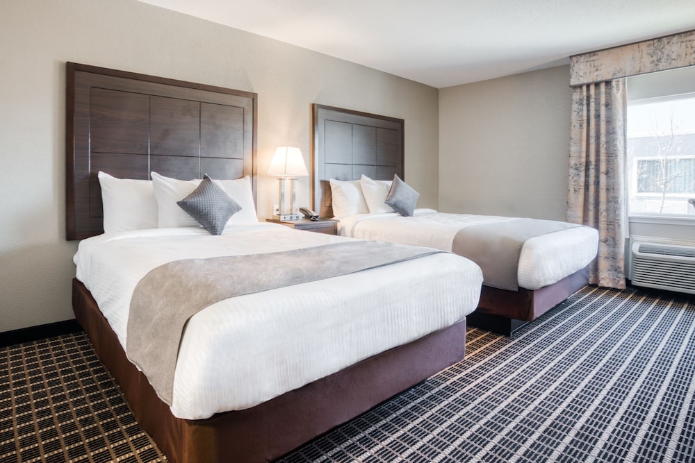 1 BEDROOM, EXECUTIVE, SUITE