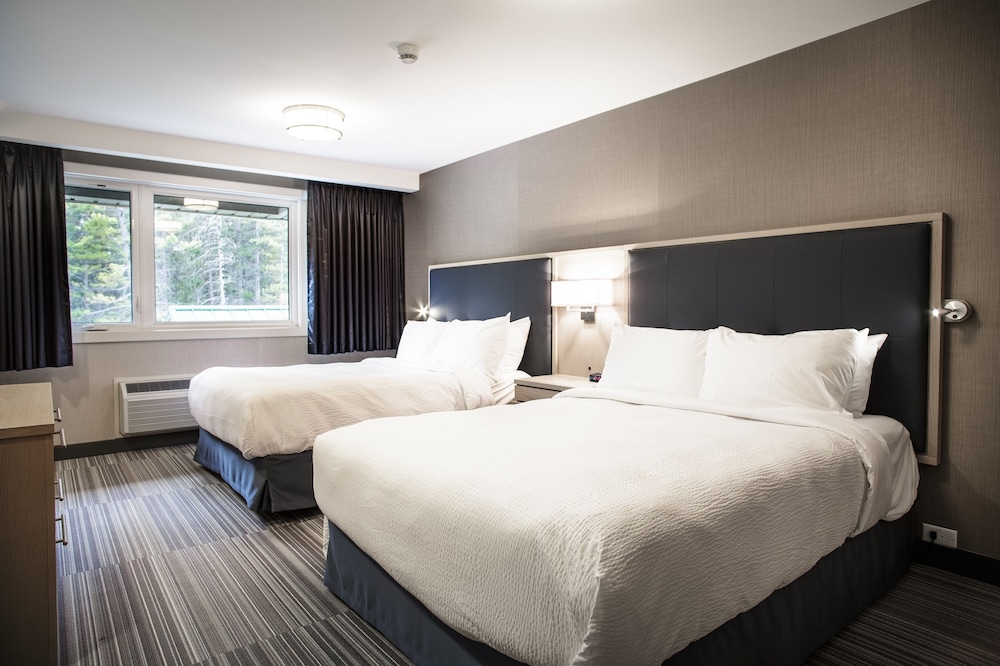 1 Bedroom, Mountain, Suite, 2 Queen Beds, Sofa
