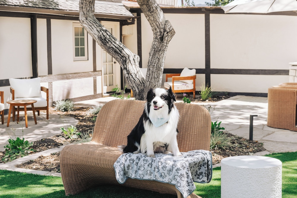 Solvang Gardens Lodge An Ascend Hotel Collection 46/66