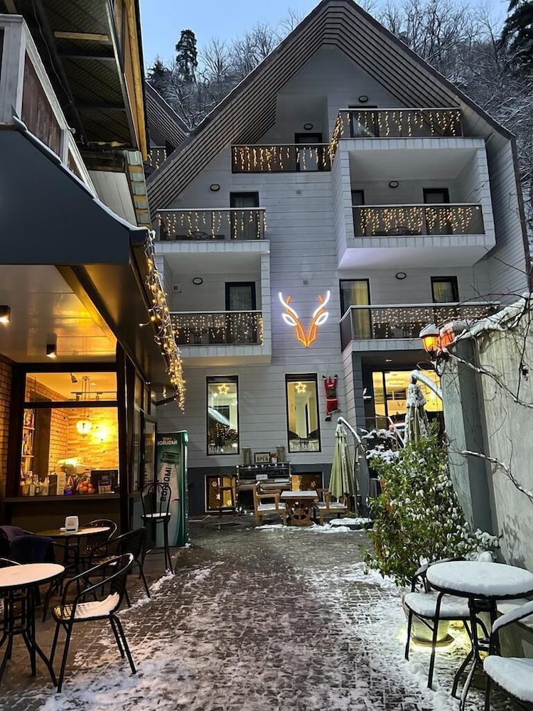 Borjomi Underwood Hotel 7/60