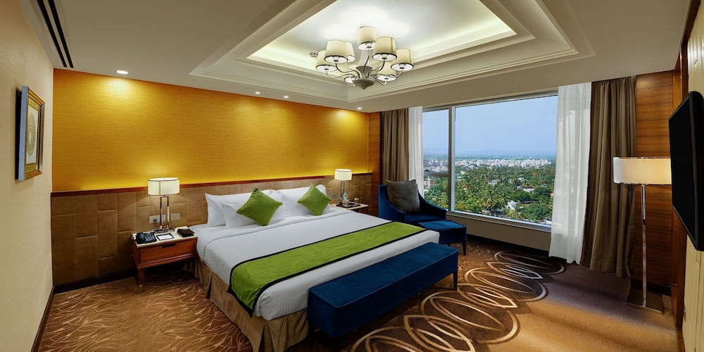 Sayaji Hotel 15/36