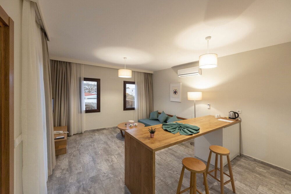 Dorman Suites Hotel 36/73
